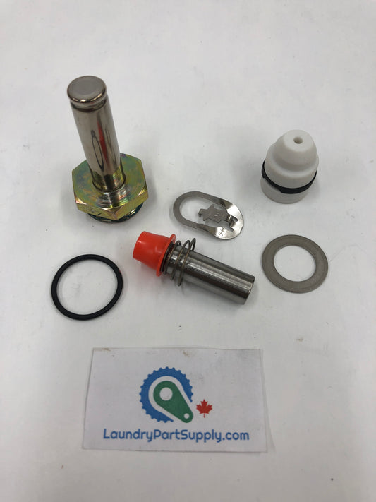 Repair Kit for 1/2" ASCO Steam Valve