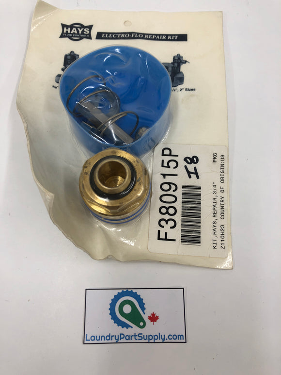 VALVE REPAIR KIT  3/4
