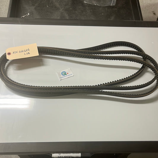 BX53 COGGED BELT